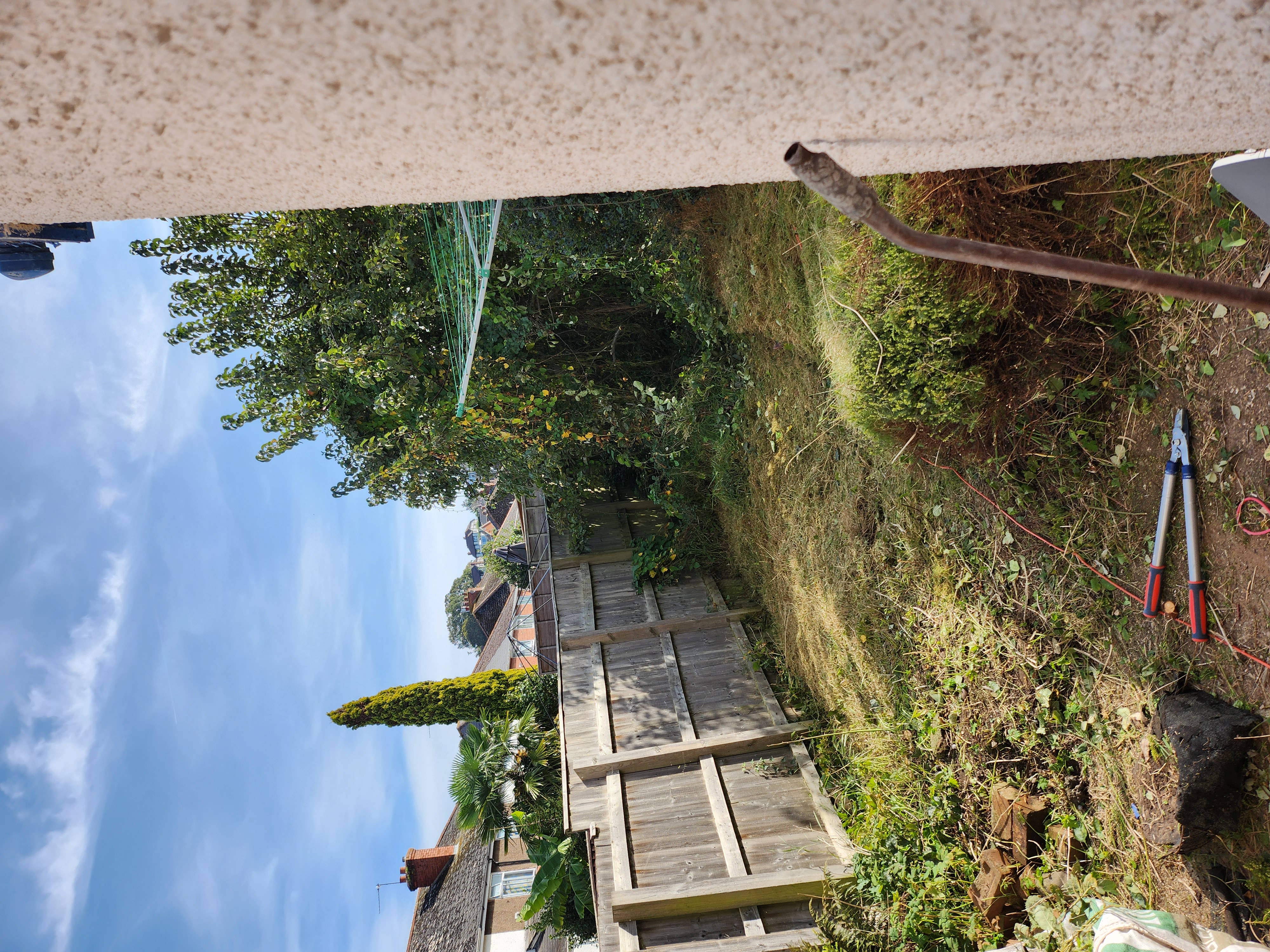 Garden before view 1